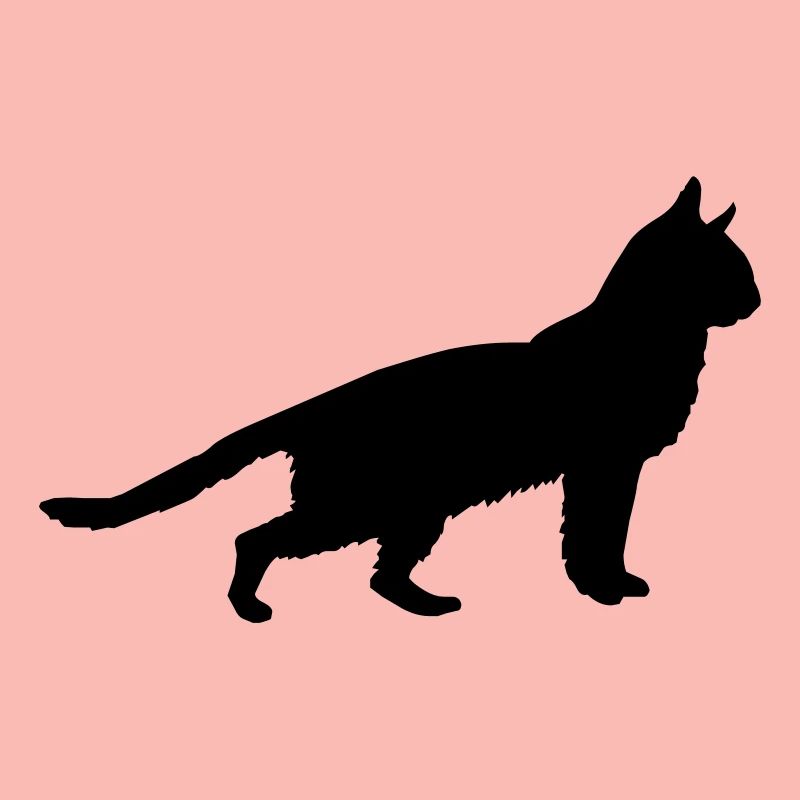 katze
