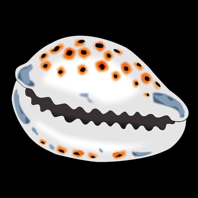 Coquille avec points