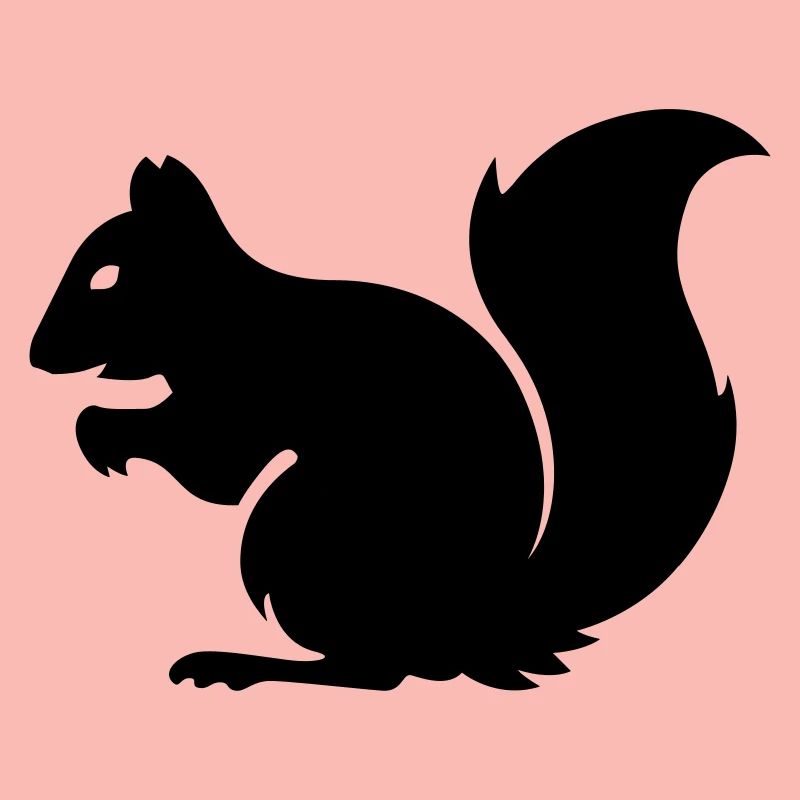 Eichhörnchen