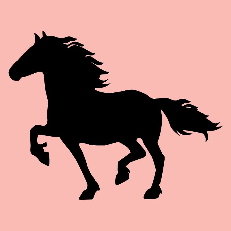Friese