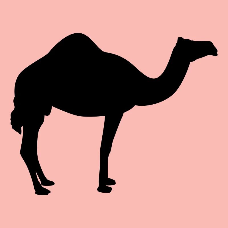 Kamel