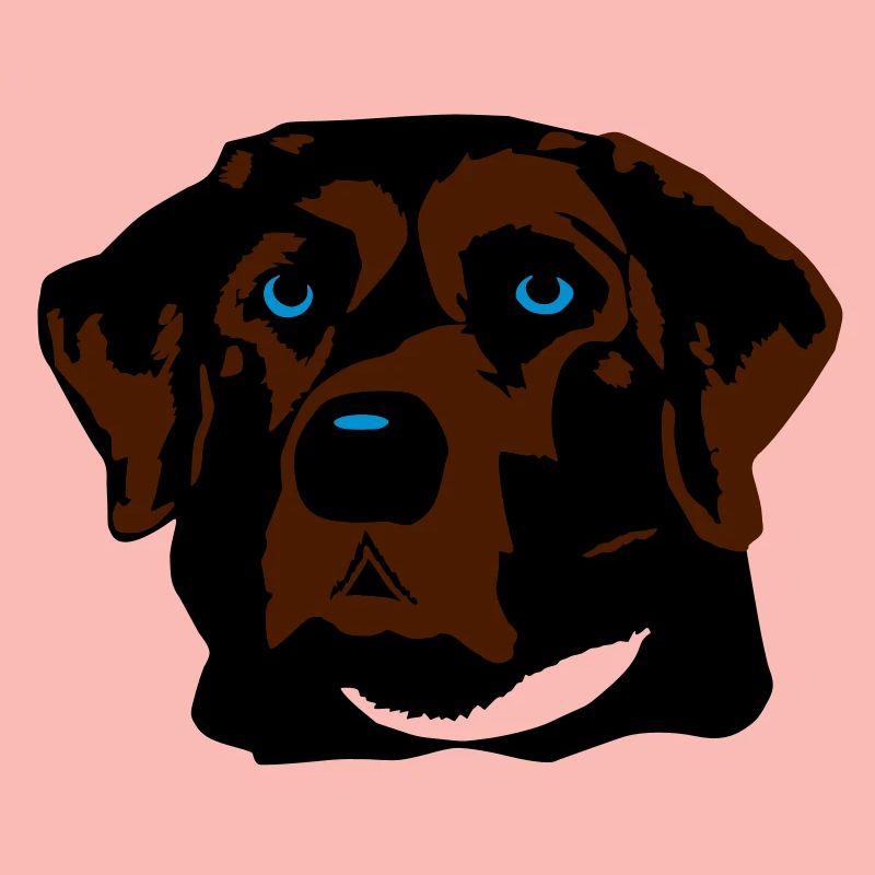 Labrador braun, blond oder schwarz