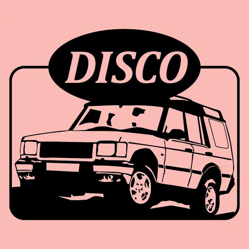 Landie Disco - Autonaut.com