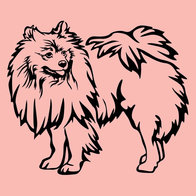 Spitz