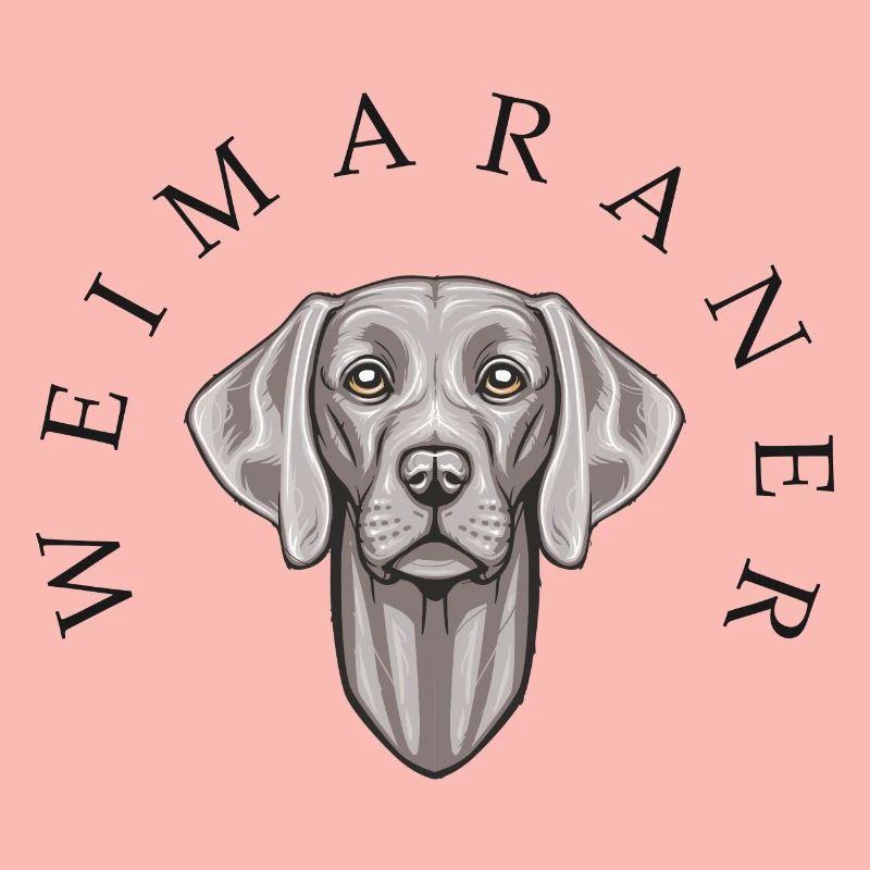 Weimaraner