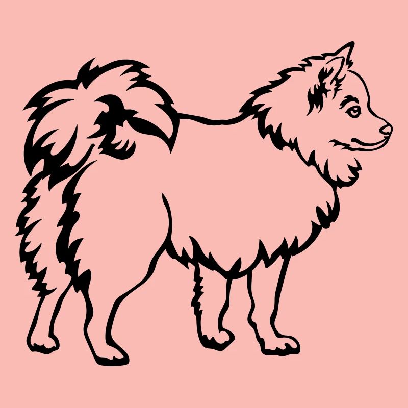 Spitz