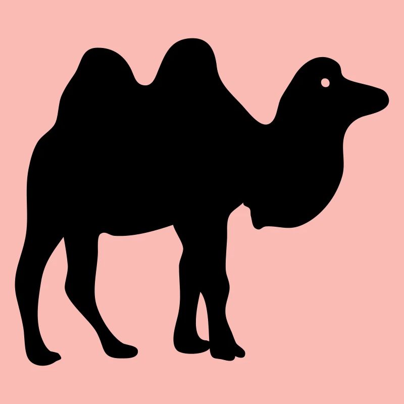 Kamel