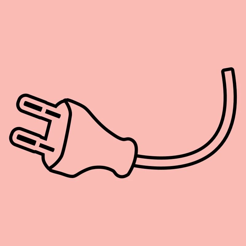 Plug