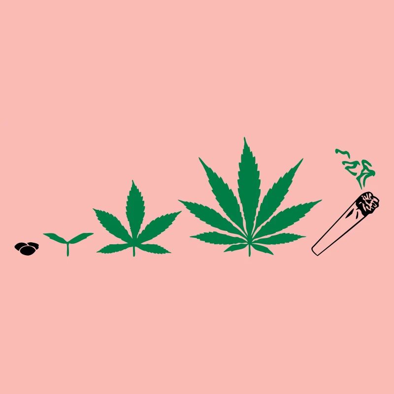 Cannabis development