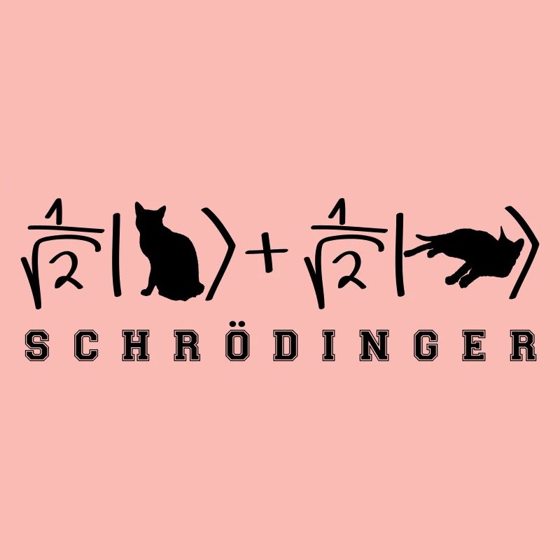 Quantenphysik Schrödinger Katze