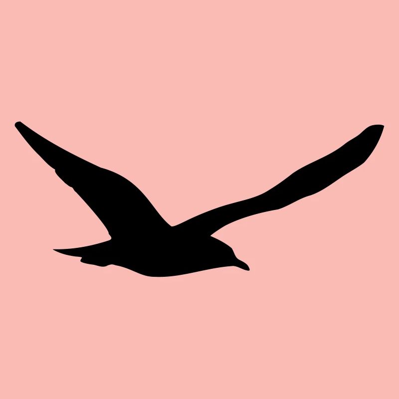 Möwe