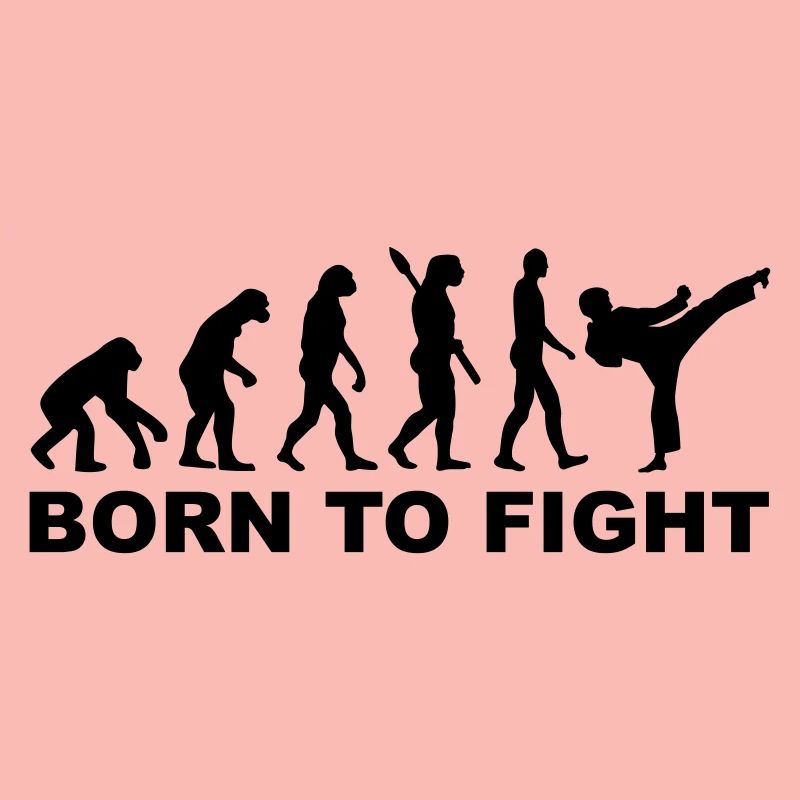 Evolution Karate