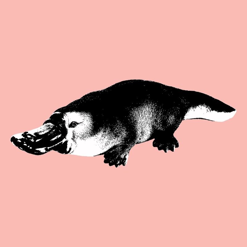 Ornithorynque
