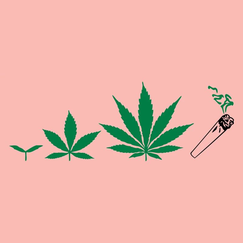 Cannabis development