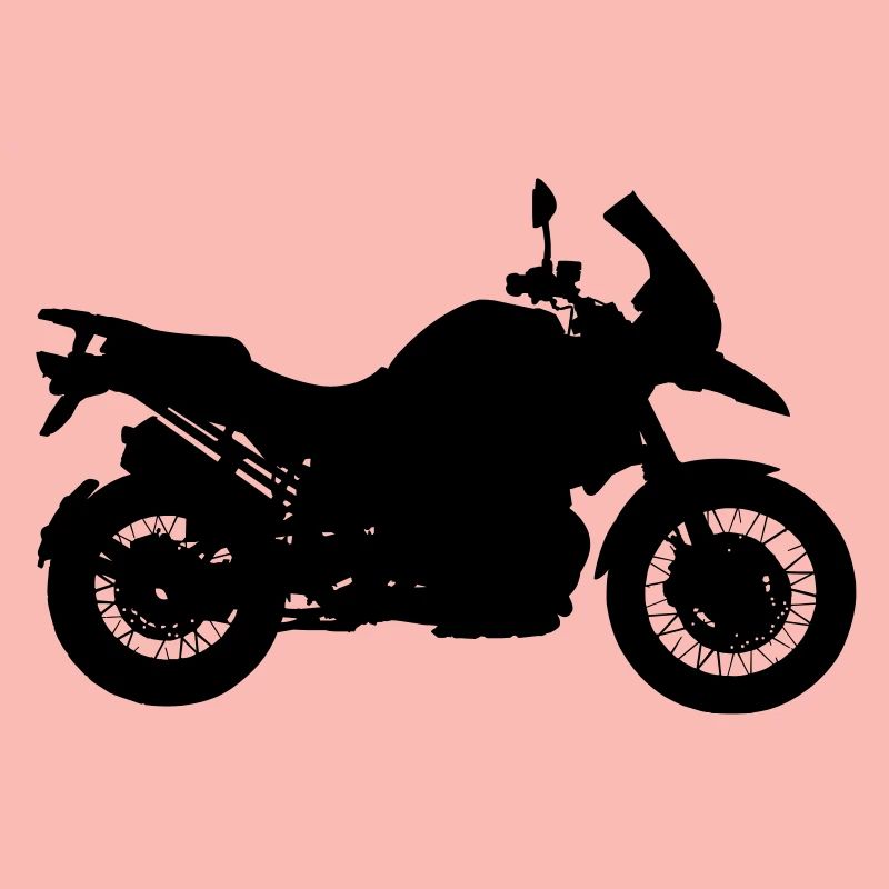 motorcycle racing