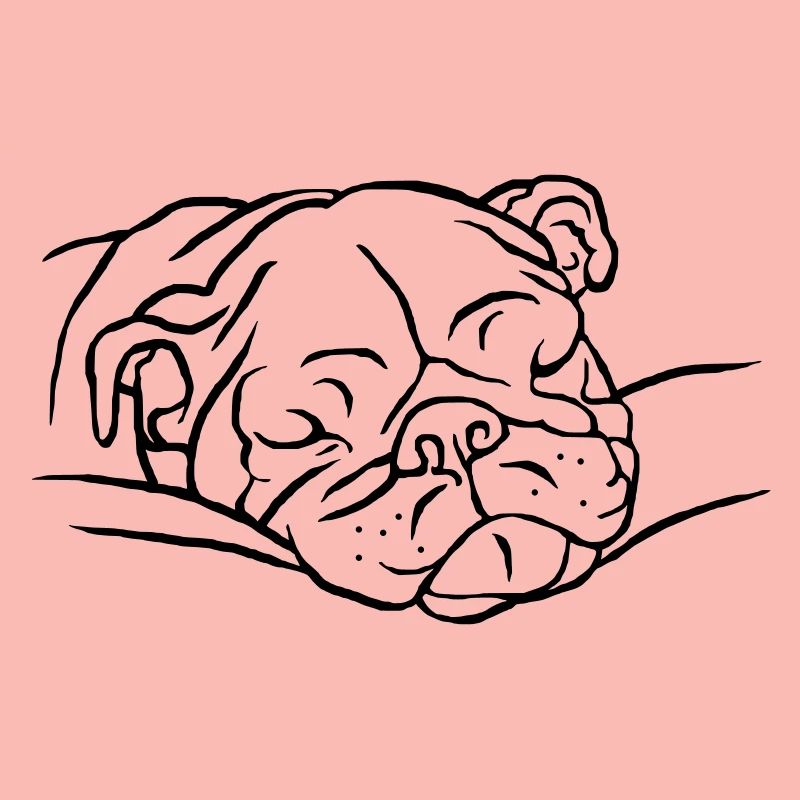 Bouledogue anglais endormi