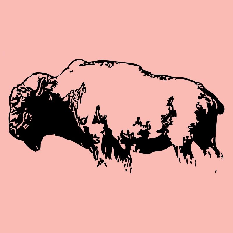 Bison - Büffel - Buffalo