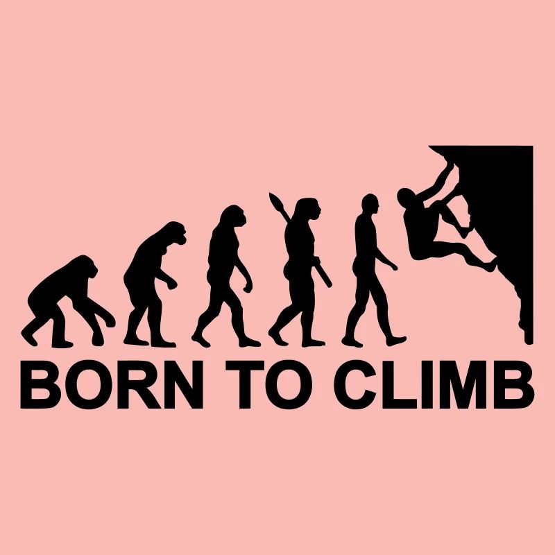Évolution Escalade