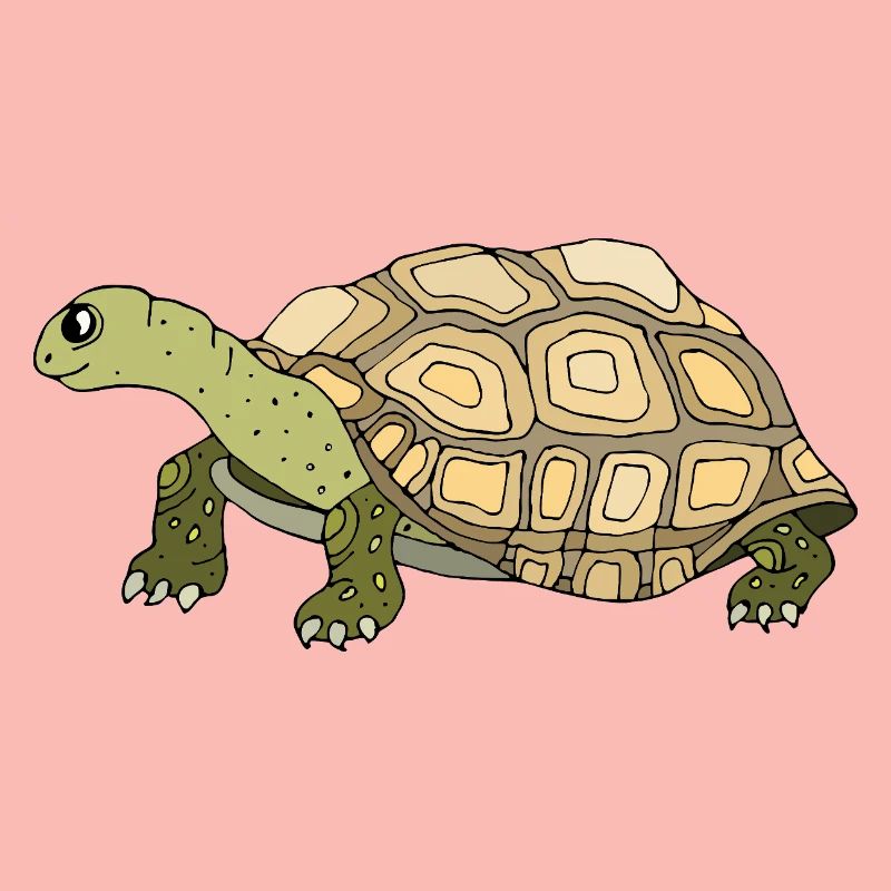 Tortoise