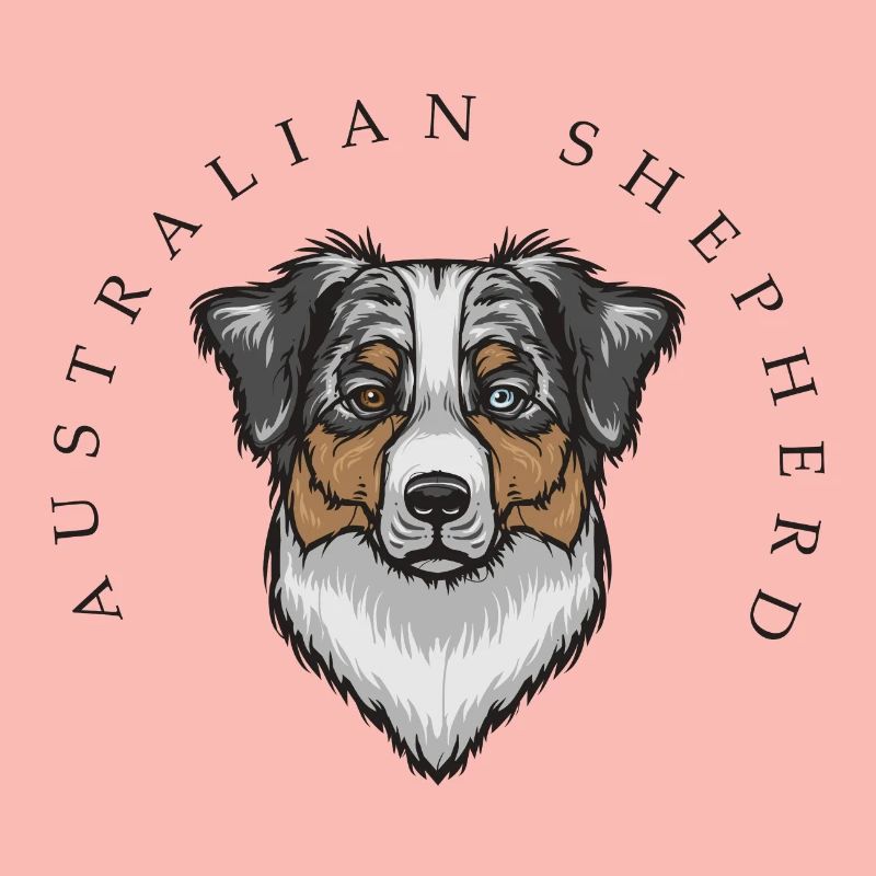 Australian Shepherd