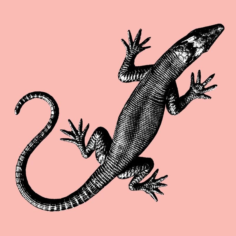 Grafik einer Eidechse