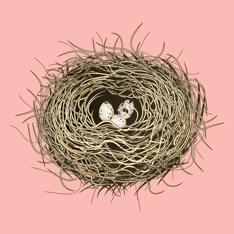 Vogelnest oder Osternest mit drei Vogel Eier