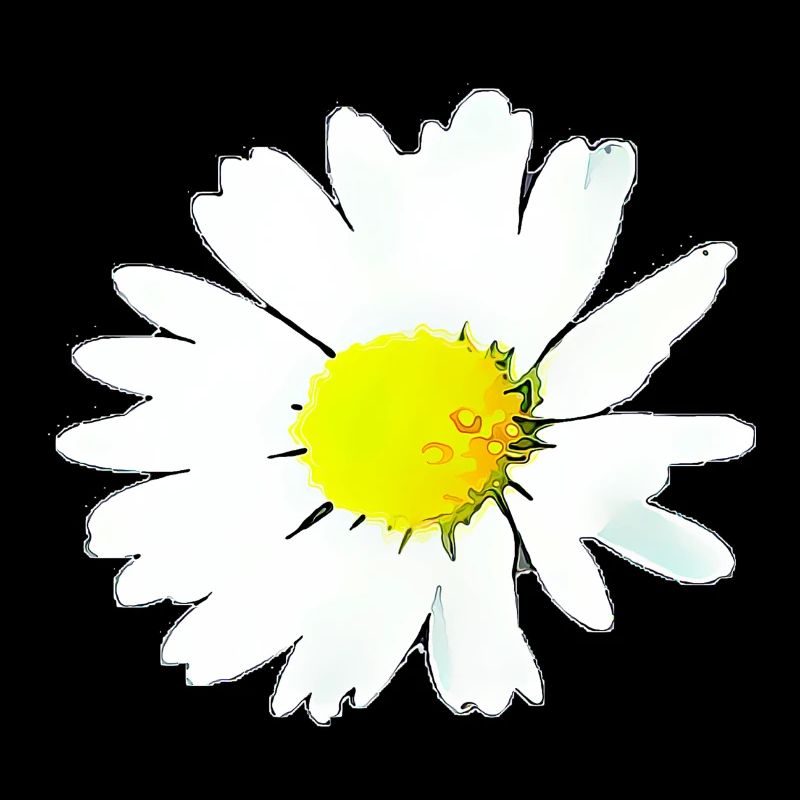 Flower - Daisy