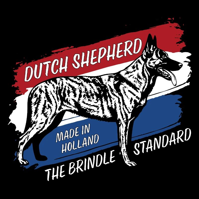 Dutch Shepherd – Dutchie