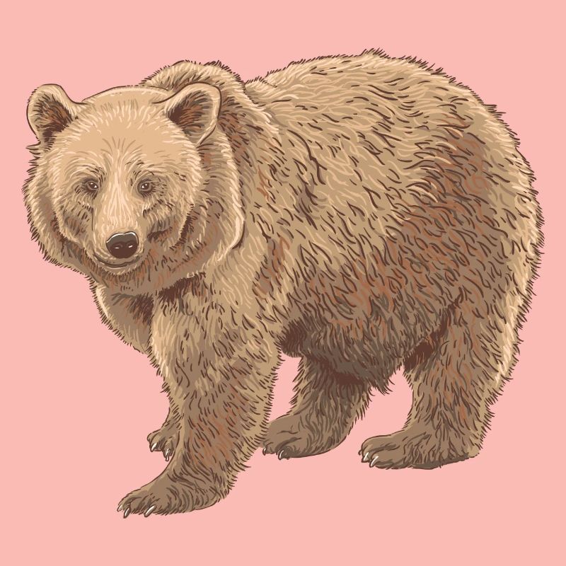 Kodiakbear