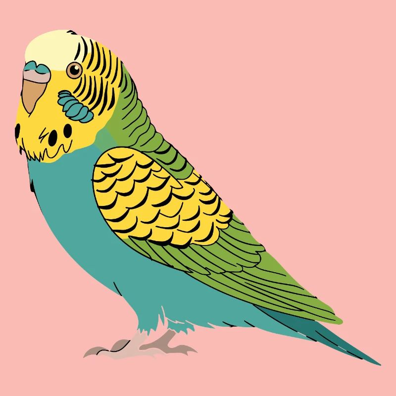 Perruche perruche turquoise vert jaune