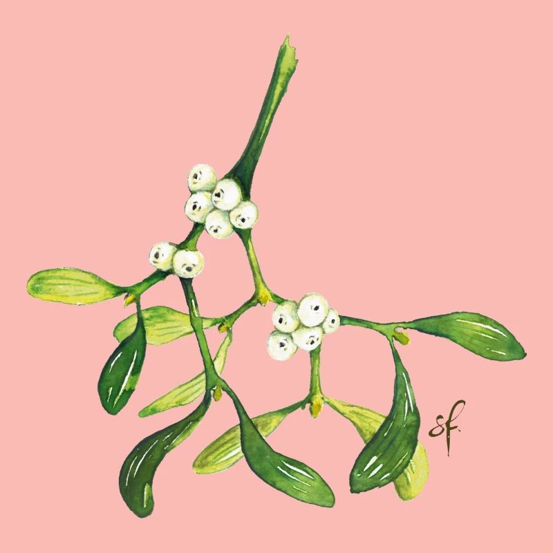 Mistletoe