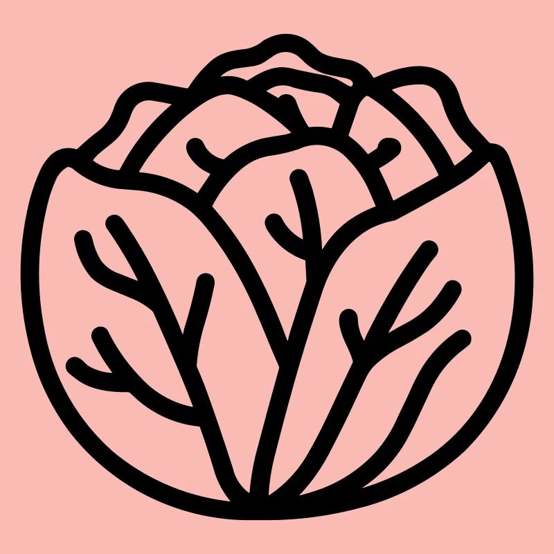 cabbage