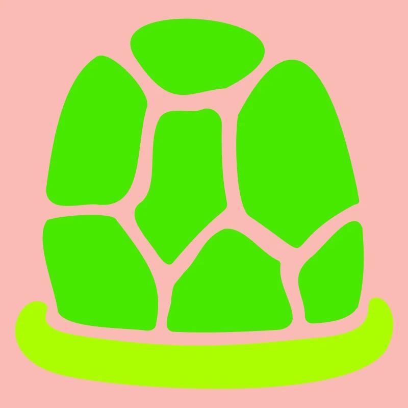 Turtle shell without turtle cute shell fun