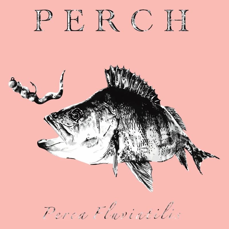 Perch Angler - Artificial lures for predatory fish