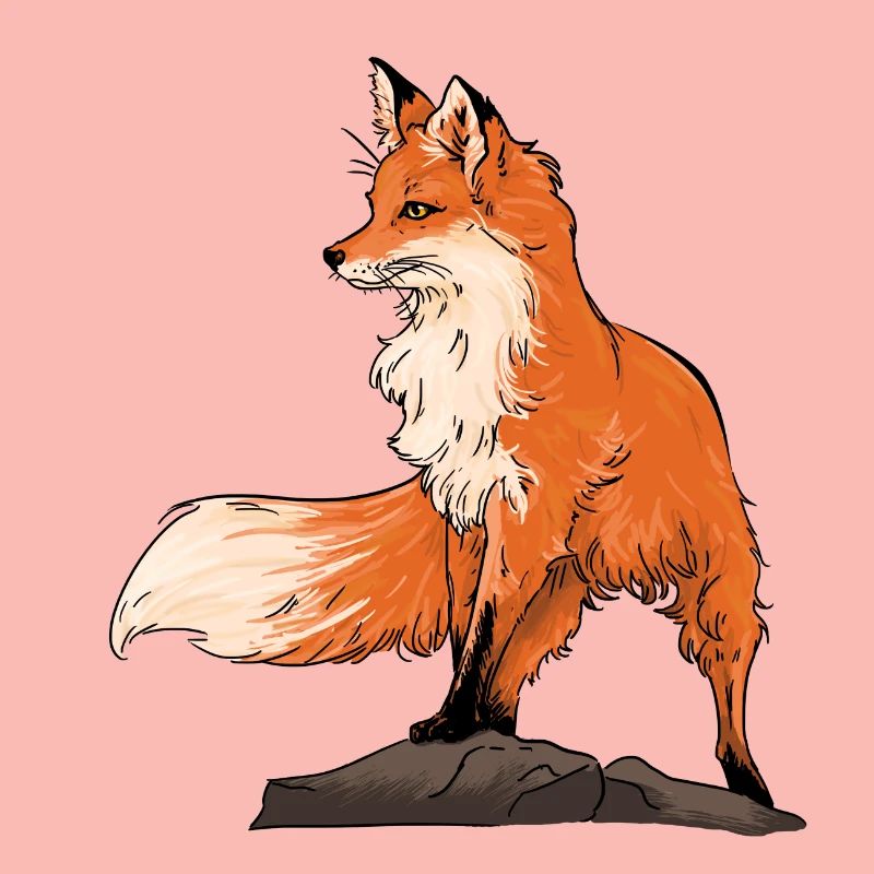 Beau renard