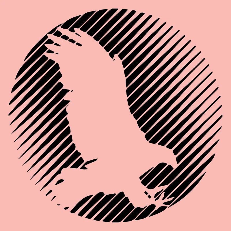 HAWK 0.1