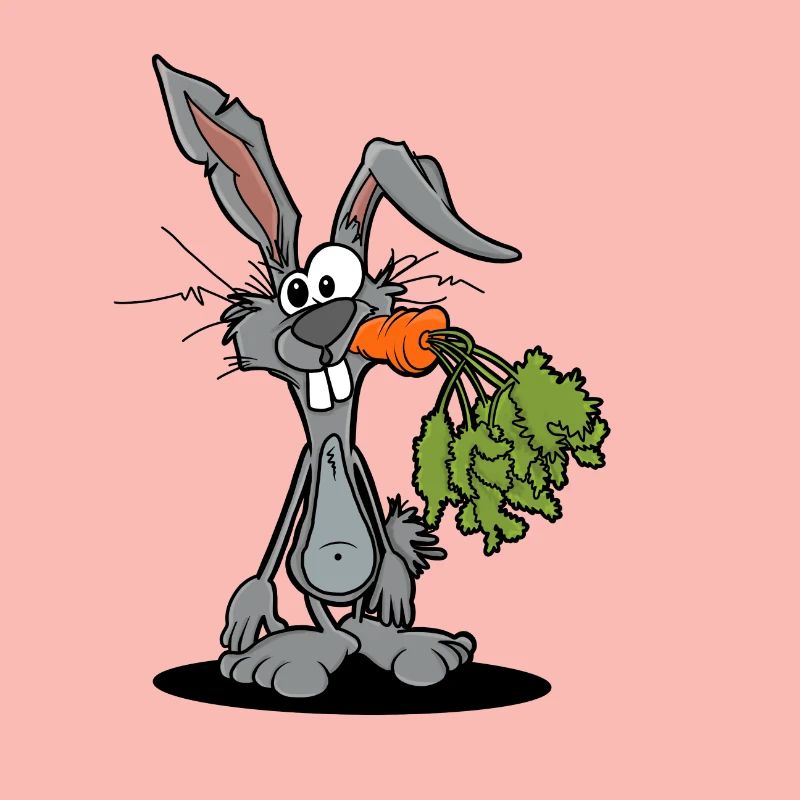 Funny Rabbit Gift