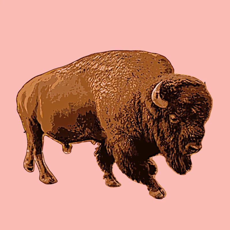 bison