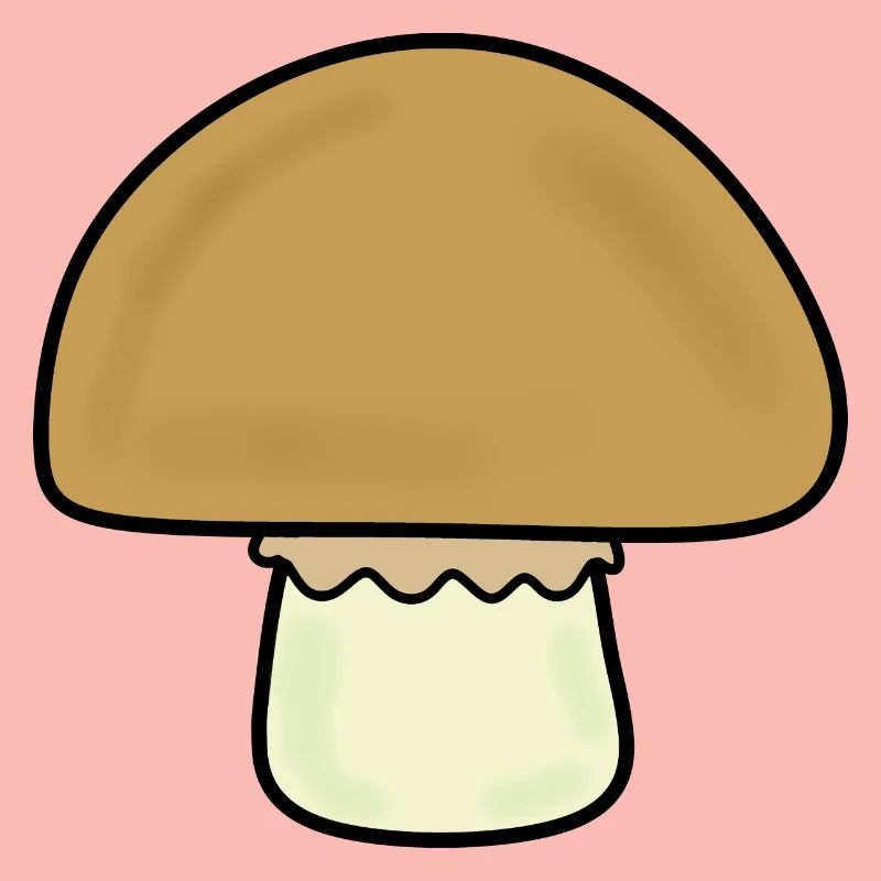 Champignon, champignons