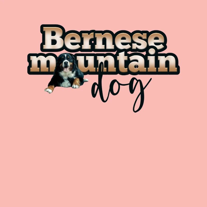 Bouvier bernois