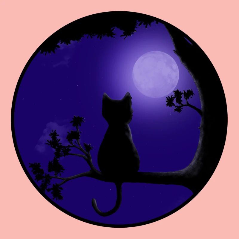 Cat Moon