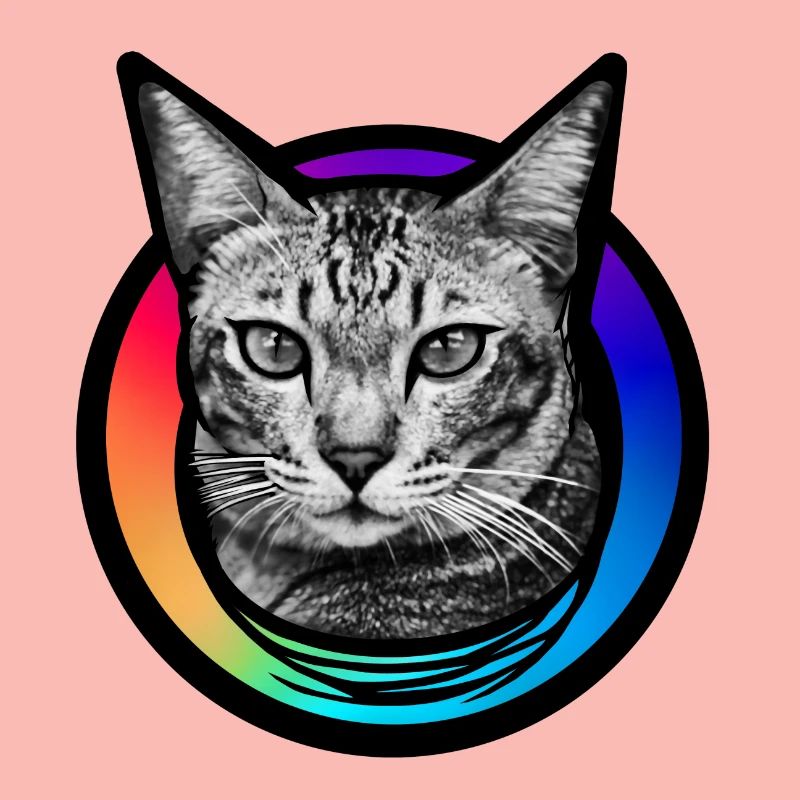 Rainbow Cat