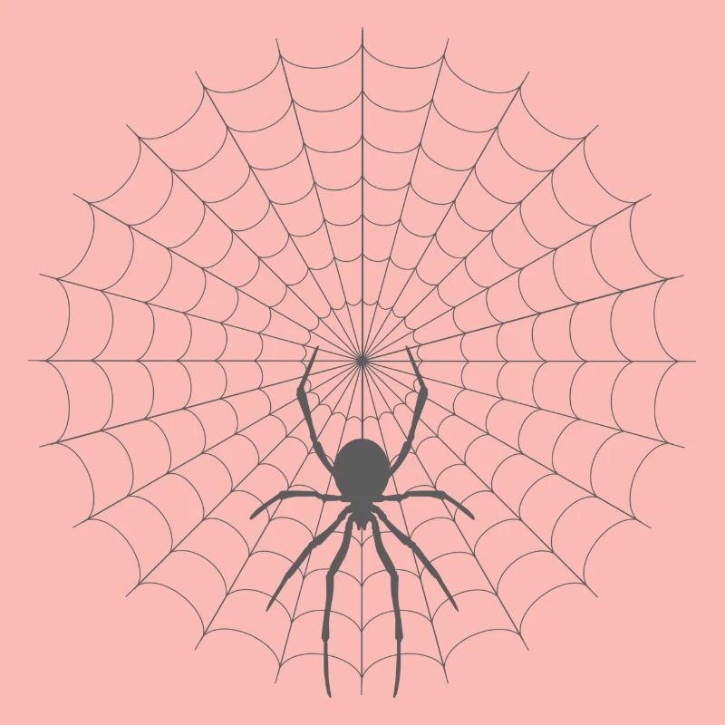 Spinnennetz Silhouette