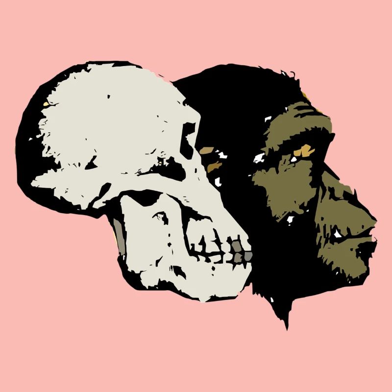 Evolution