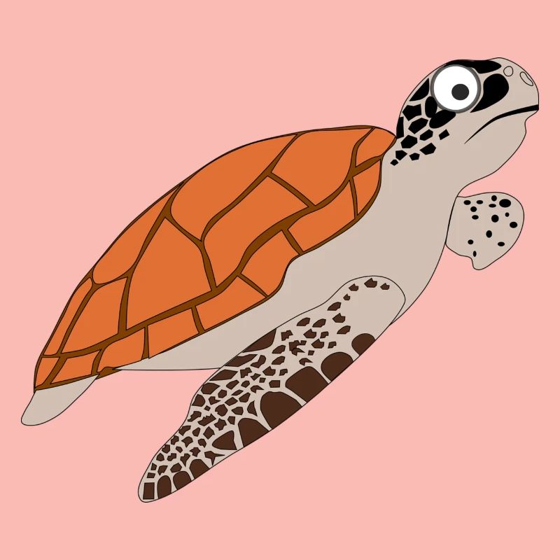 turtle