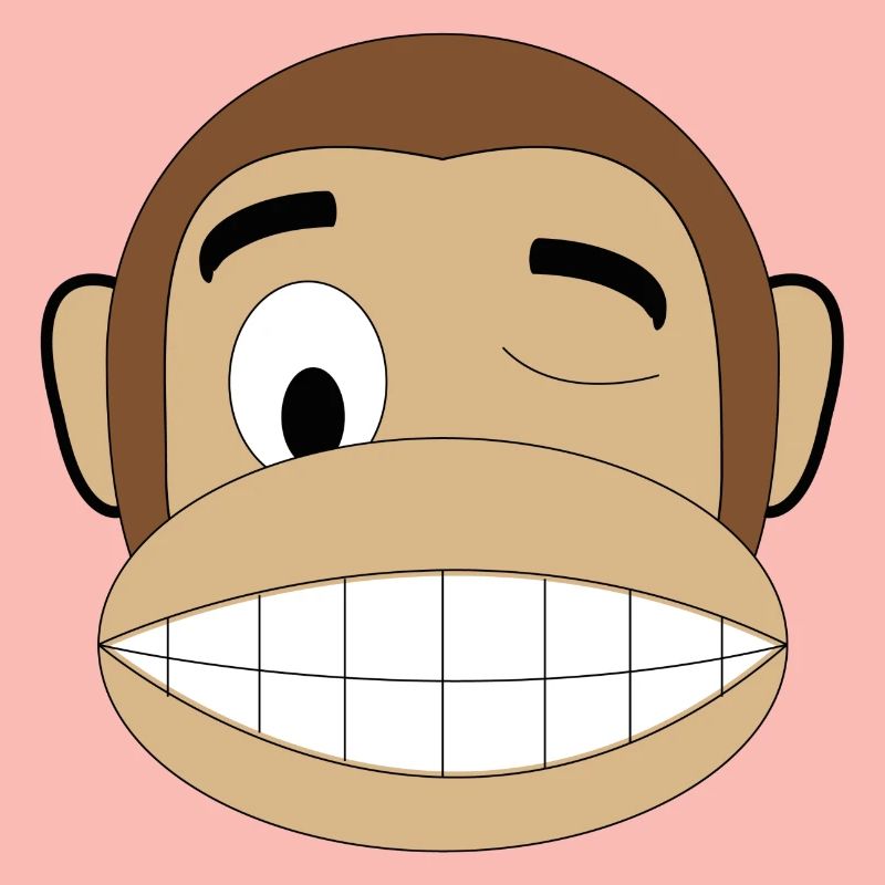 wink monkey