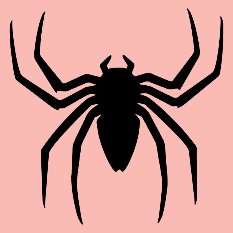 spider27