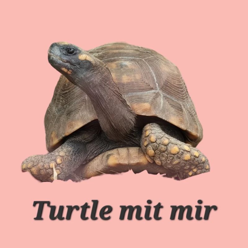 Turtle mit mir