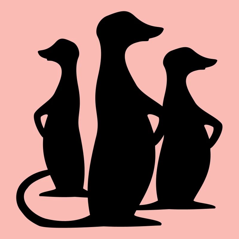 erdmännchen