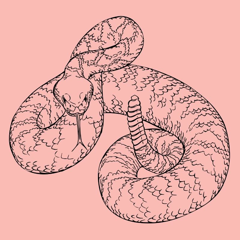 serpent à sonnette